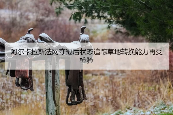 a-er-ka-la-si-fa-wang-duo-guan-hou-zhuang-tai-zhui-zong-cao-di-zhuan-huan-neng-li-zai-shou-jian-yan-2-750.jpg