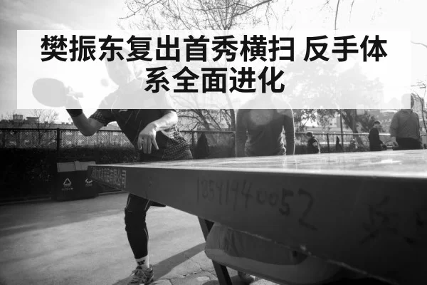 Fan Zhendong table tennis